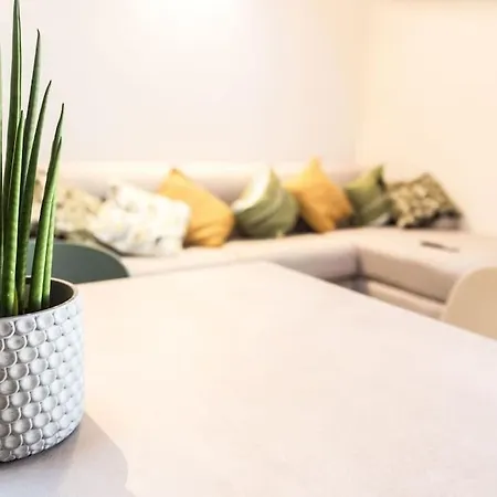 Nuova Luxury Chaligne